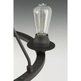 Debut Collection 6-light Graphite Chandelier Progress Lighting P400015-143 Home Decorators Outlet HomeDecorAndTools.com